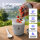 Pooni Müslibecher, Joghurtbecher aus PP-Kunststoff mit 2-in-1-Besteck, für Joghurt, BPA-frei, mikrowellengeeignet, 460 ml + 150 ml, Zartes Grau