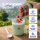 Pooni Müslibecher, Joghurtbecher aus PP-Kunststoff mit 2-in-1-Besteck, für Joghurt, BPA-frei, mikrowellengeeignet, 460ml + 150 ml, Frühlingsgrün